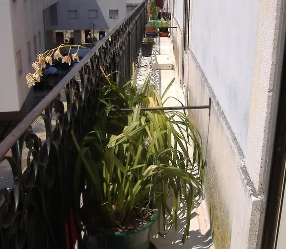 理想住宅旅馆 招待所 科英布拉